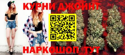 эйфоретик Кингисепп