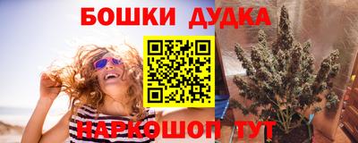 эйфоретик Кингисепп