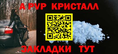 эйфоретик Кингисепп