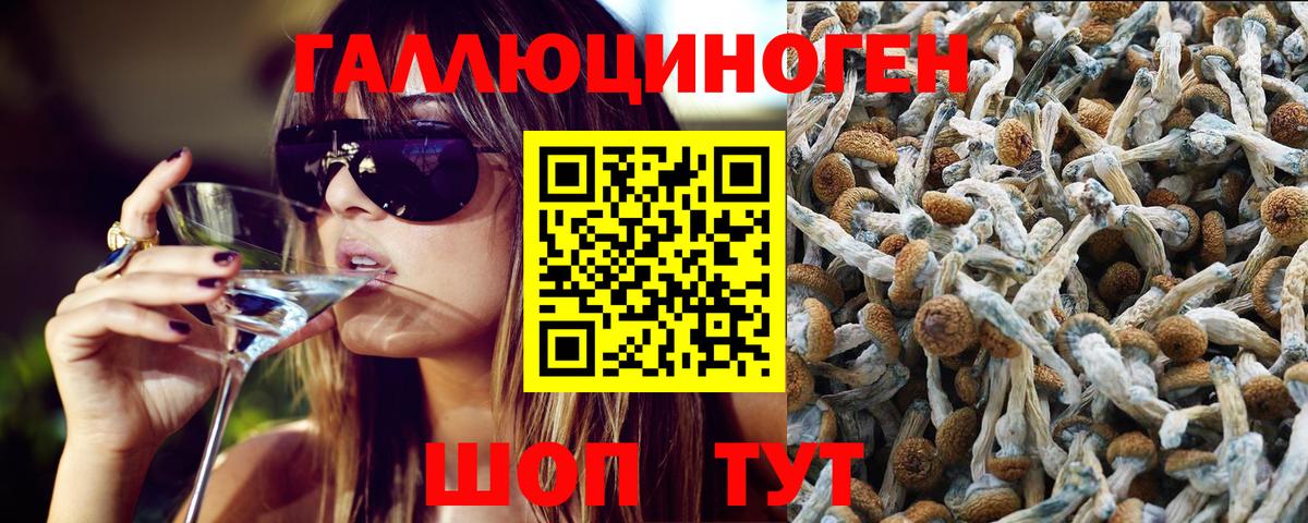 Галлюциногенные грибы мухоморы Клин