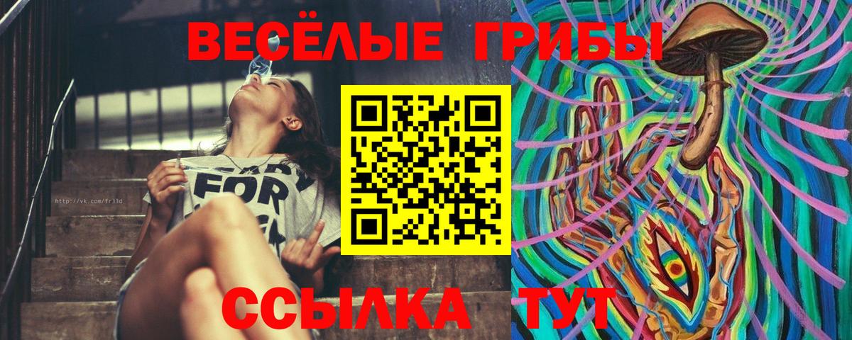 Галлюциногенные грибы GOLDEN TEACHER  Вход с VPN  Клин  Галлюциногенные грибы Psilocybe 